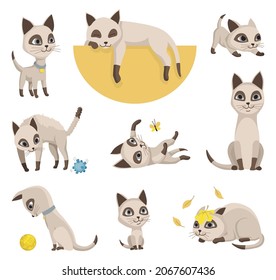 Cartoon cat characters collection. Different pets poses. Siamese colorpoint cats. Adorable domestic cats sleeping and walking, sitting and playing