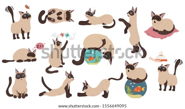 漫画の猫キャラクターコレクション 猫のポーズ ヨガ 感情セット フラットカラーのシンプルなスタイルデザイン シャム色の点猫 ベクターイラスト のベクター画像素材 ロイヤリティフリー