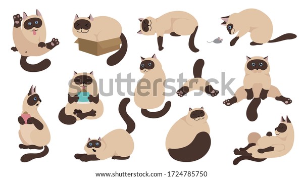 Cartoon cat characters collection.\
Different cat poses, yoga and emotions set. Flat color simple style\
design. Siamese colorpoint cats. Vector\
illustration