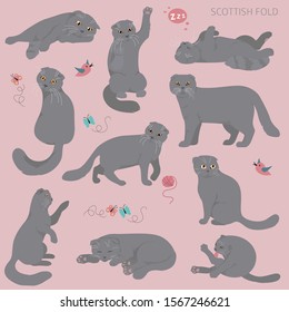 Cartoon cat characters collection. Scottish fold`s poses and emotions set. Flat color simple style design. Vector illustration