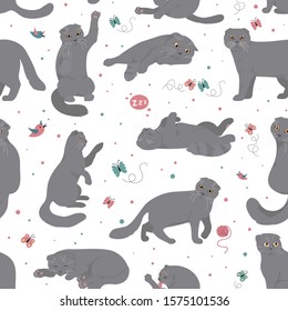 Cartoon cat characters seamless pattern. Scottish fold`s poses and emotions set. Flat color simple style design. Vector illustration