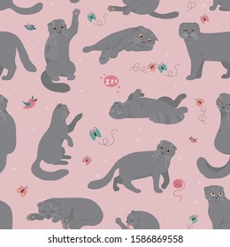 Cartoon cat characters seamless pattern. Scottish fold`s poses and emotions set. Flat color simple style design. Vector illustration