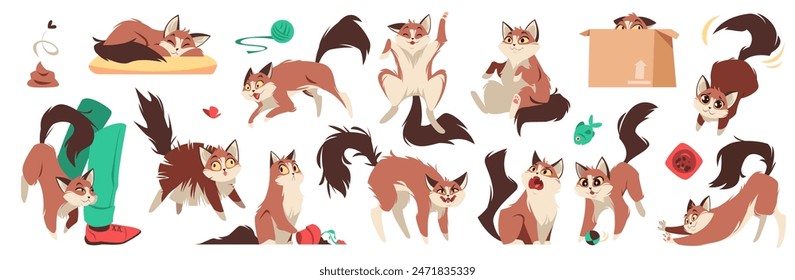 Cartoon cat in different mood. Pets behavior, cute domestic playful animal lifestyle, sleep, playfulness, protection and affection. Relaxing, lazy and afraid mammals. Tidy vector isolated set