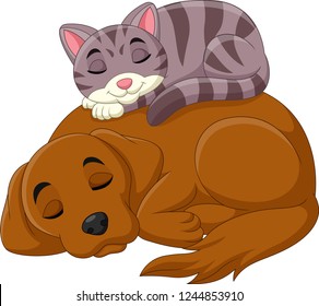 Cartoon cat and dog sleeping