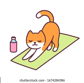 Cartoon cat doing yoga pose, stretching in fitness class. Ginger kitty in simple cute style, vector clip art illustration.