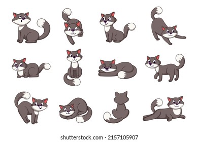 Cartoon cat. Friendly graphic kitty in simple poses. Funny pets actions and positions set. Relaxing pussycat. Fluffy kitten sitting or lying. Vector flat cliparts of domestic animal