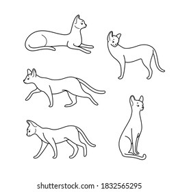 Juego de iconos de gatos de dibujos animados. Diferentes poses del gato Asher. Ilustración del contorno vectorial para impresiones, ropa, embalaje, pegatinas.