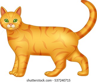 Cartoon cat isolated on white background