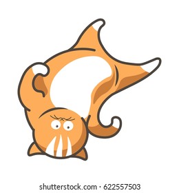Cartoon cat kitten upside down on head vector flat icon