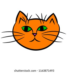 Cartoon cat muzzle isolated on white background. Vector illustration.