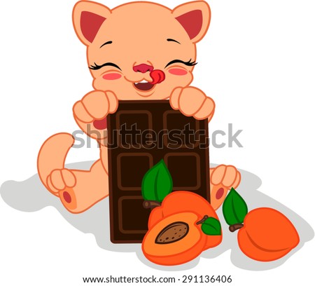Cartoon cat with peach and chocolate.