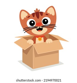 Cartoon Cat Posing In A Box