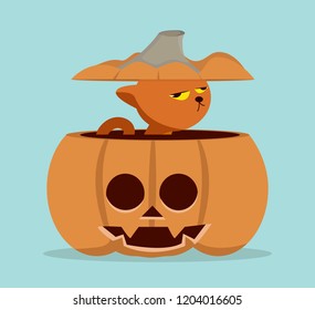 Cartoon  cat in pumpkin