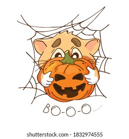 Cartoon Katze mit Kürbiskopf in ihren Pfoten, auf dem Hintergrund eines Spinnennetzes. Halloween. Vektorgrafik für die Gestaltung von Postkarten, Etiketten, Aufklebern.