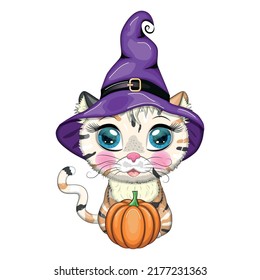 Cartoon cat in purple witch hat with broom, pumpkin, potion. Halloween character, poster. Cute child character, symbol of 2023 new chinese year