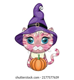 Cartoon cat in purple witch hat with broom, pumpkin, potion. Halloween character, poster. Cute child character, symbol of 2023 new chinese year