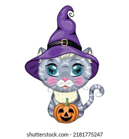 Cartoon cat in purple witch hat with broom, pumpkin, potion. Halloween character, poster. Cute child character, symbol of 2023 new chinese year