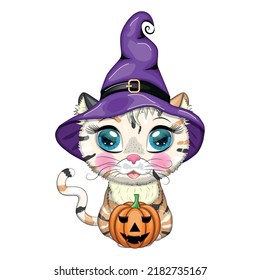 Cartoon cat in purple witch hat with broom, pumpkin, potion. Halloween character, poster. Cute child character, symbol of 2023 new chinese year