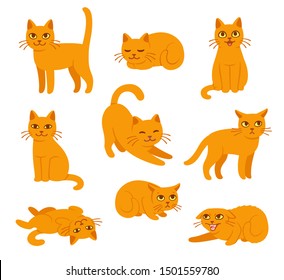 Cartoon cat set and different poses   emotions  Cat behavior  body language   face expressions  Ginger kitty in simple cute style  isolated vector illustration 