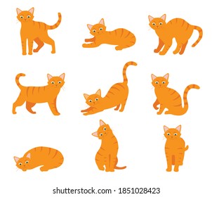 El gato de caricatura se ambienta con diferentes poses y emociones. Comportamiento del gato y lenguaje corporal. Ginger kitty en un estilo simple, ilustración vectorial aislada.