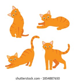 59,917 Cat body Images, Stock Photos & Vectors | Shutterstock