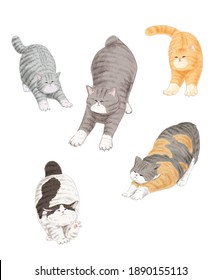 El gato de caricatura se ambienta con diferentes poses y emociones. Comportamiento del gato, lenguaje corporal y cara, ilustración vectorial aislada.
