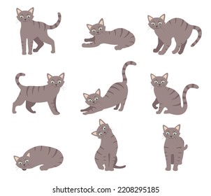 El gato de caricatura se ambienta con diferentes poses y emociones. Comportamiento del gato y lenguaje corporal. Kitty en un estilo simple, ilustración vectorial aislada.