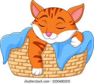 Cartoon cat sleeping in the basket