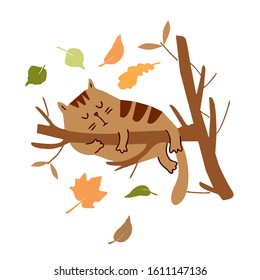 Cartoon cat sleeping on a branch. Autumn foliage. Sticker. Isolated background
