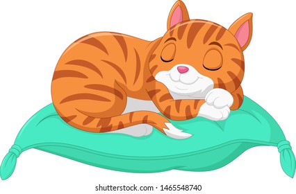 Cartoon the cat is sleeping on a pillow