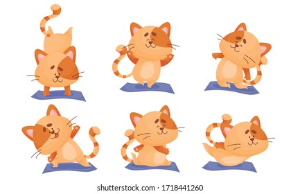 Cartoon Cat with Striped Tail Doing Yoga on Blue Mat Vector Set