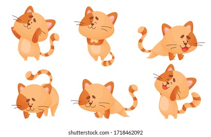 Cartoon Cat with Striped Tail Standing in Yoga Pose Vector Set