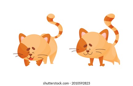 Cartoon Cat with Striped Tail Standing in Yoga Pose Vector Set