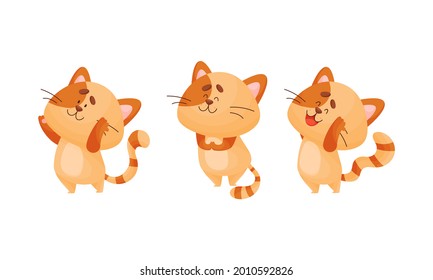 Cartoon Cat with Striped Tail Standing in Yoga Pose Vector Set