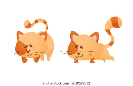 Cartoon Cat with Striped Tail Standing in Yoga Pose Vector Set