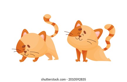 Cartoon Cat with Striped Tail Standing in Yoga Pose Vector Set