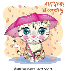 Cartoon cat with an umbrella in the rain. Autumn is coming. Cute child character, symbol of 2023 new chinese year