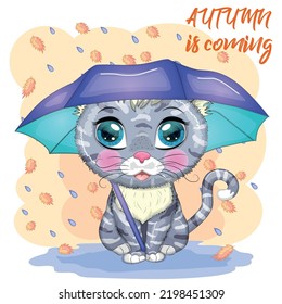 Cartoon cat with an umbrella in the rain. Autumn is coming. Cute child character, symbol of 2023 new chinese year