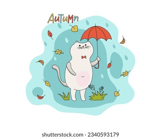 Cartoon cat with an umbrella. Rain, leaf fall. Autumn season. Pet, walk. Vector illustration. The background is isolated.