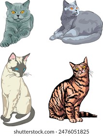 cartoon cat vector illustration design