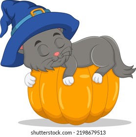 Cartoon cat in witch hat sleeping on pumpkin