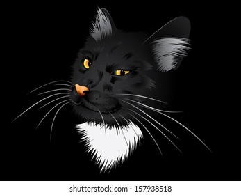 Cartoon cat with yellow eyes on black background.