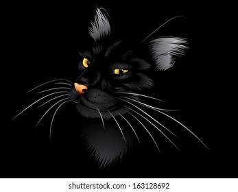 Cartoon cat with yellow eyes on black background.