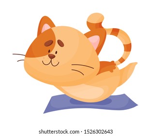 Cartoon cat yogi lies on his stomach. Vector illustration.