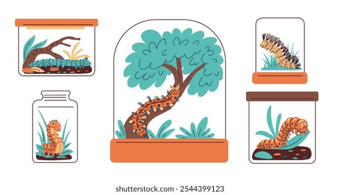 Lagarta de desenhos animados em recipiente de vidro com tampa e conjunto de ícones de planta. Inseto de verme de bug bonito no estilo de doodle terrarium desenhado. Pequeno verme exótico animal de estimação larva vetor ilustrações isoladas no branco