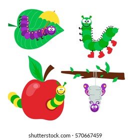 Cartoon caterpillar insect vector illustration.