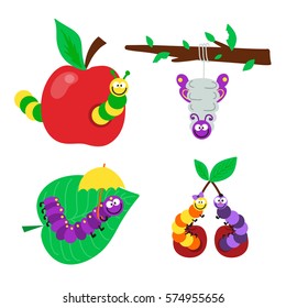 Cartoon caterpillar insect vector illustration.