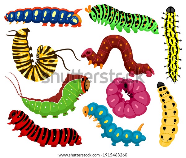 Cartoon
caterpillars. Cute summer insects, spring colorful caterpillar.
Pretty caterpillar mascots isolated vector illustration set.
Caterpillar wildlife mascot, small maggot
move