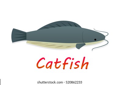 Cartoon catfish in flat style, vector