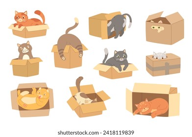 Cartoon cats in cardboard box. Felines play with boxes, adopt kittens and funny packed cats vector illustration set of pets in box, cute kitty and cat